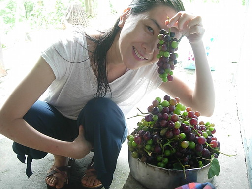 You are currently viewing ヒマラヤのCherrinの実家でブドウを収穫してジュースを作りました